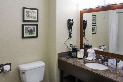 Comfort Inn & Suites Near Six Flags & Medical Center - image 39