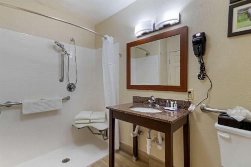 Comfort Inn & Suites Near Six Flags & Medical Center - image 4