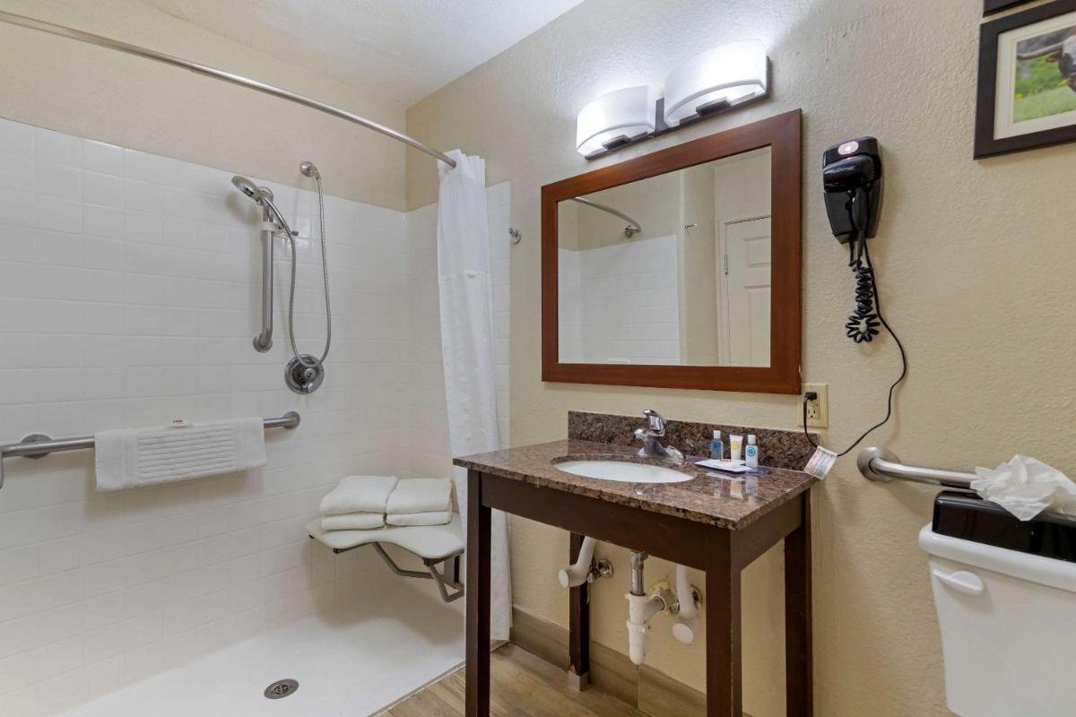 Comfort Inn & Suites Near Six Flags & Medical Center - image 4