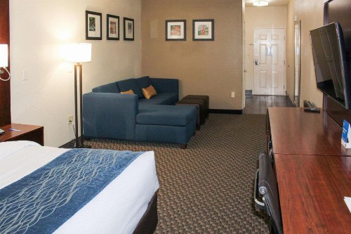 Comfort Inn & Suites Near Six Flags & Medical Center - image 42