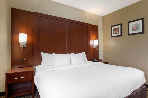 Comfort Inn & Suites Near Six Flags & Medical Center - image 44