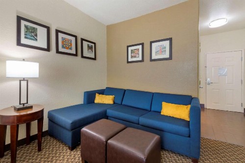Comfort Inn & Suites Near Six Flags & Medical Center - image 49