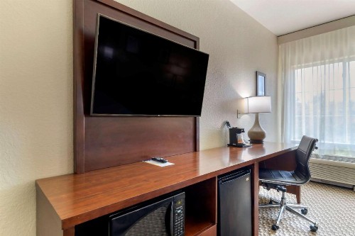 Comfort Inn & Suites Near Six Flags & Medical Center - image 50