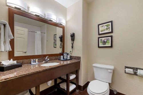 Comfort Inn & Suites Near Six Flags & Medical Center - image 6