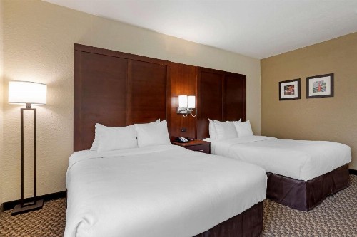 Comfort Inn & Suites Near Six Flags & Medical Center - image 8