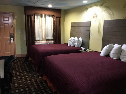 Luxury Inn and Suites Seaworld - image 10