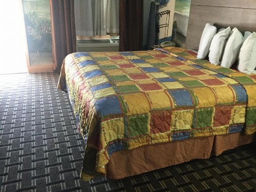 Luxury Inn and Suites Seaworld - image 19
