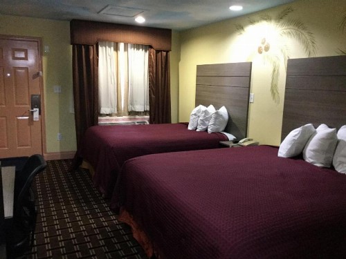 Luxury Inn and Suites Seaworld - image 7