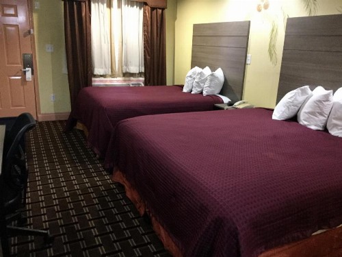 Luxury Inn and Suites Seaworld - image 8