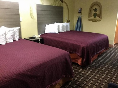 Luxury Inn and Suites Seaworld - image 9