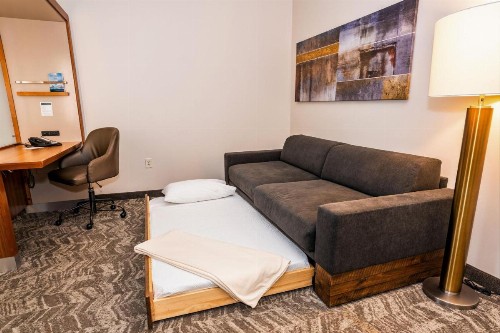 Springhill Suites by Marriott San Antonio Alamo Plaza/Convention Center - image 10
