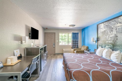 Super 8 by Wyndham San Antonio/Riverwalk Area - image 4