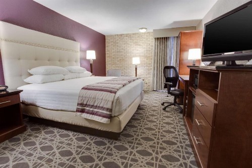 Drury Plaza Hotel San Antonio Airport - image 23