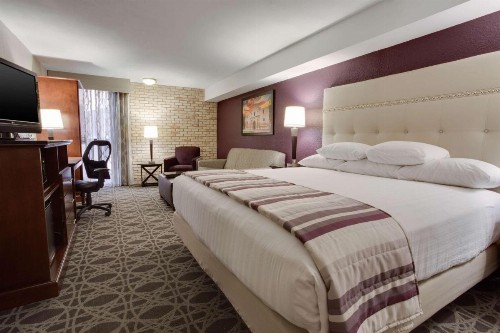 Drury Plaza Hotel San Antonio Airport - image 27