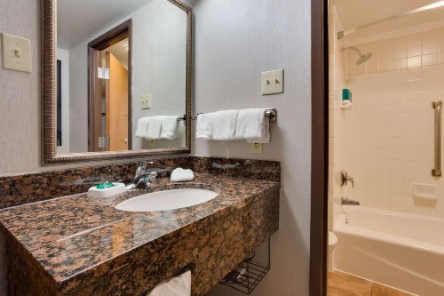 Drury Plaza Hotel San Antonio Airport - image 31