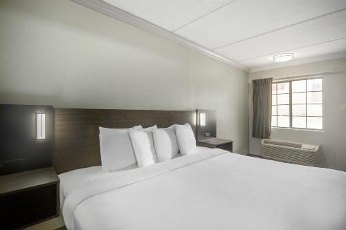 Red Roof Inn San Antonio I-35 North - image 11