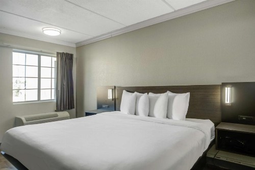 Red Roof Inn San Antonio I-35 North - image 6