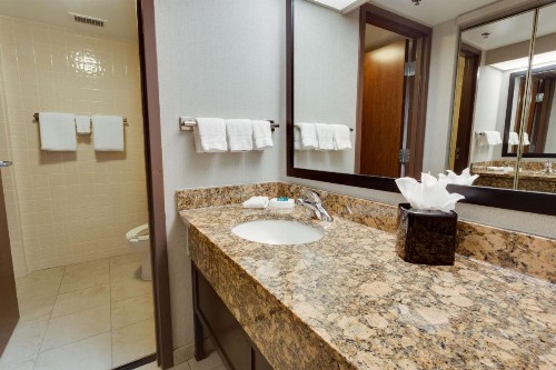 Drury Inn & Suites San Antonio Northeast - image 13