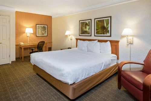 La Quinta Inn by Wyndham San Antonio Market Square - image 16