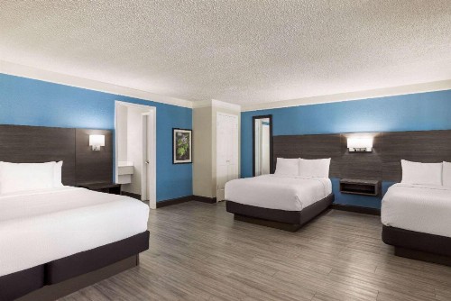 La Quinta Inn by Wyndham San Antonio I-35 N at Toepperwein - image 10