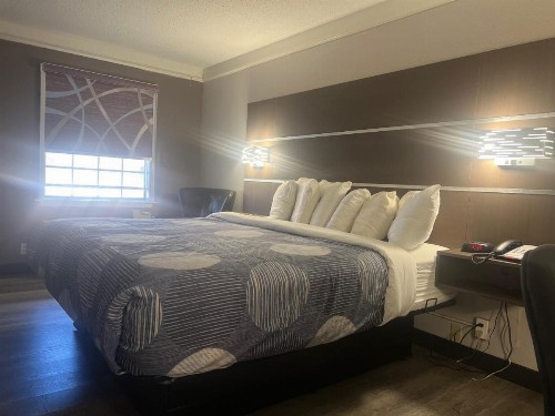 La Quinta Inn by Wyndham San Antonio Vance Jackson - image 6