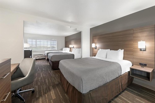 Quality Inn Near Seaworld - Lackland - image 35