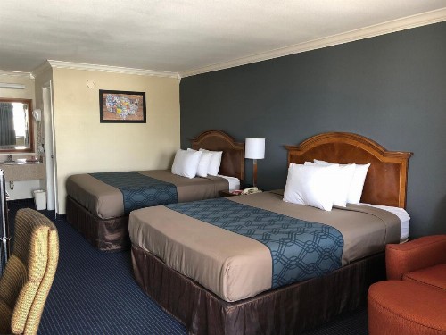 University Inn & Suites - image 11