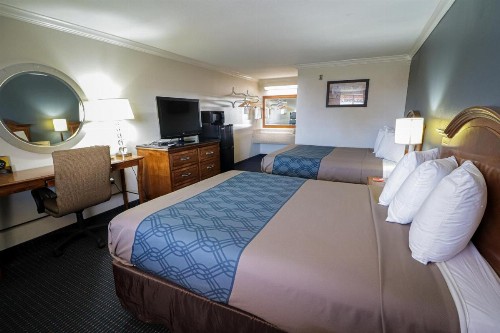 University Inn & Suites - image 14