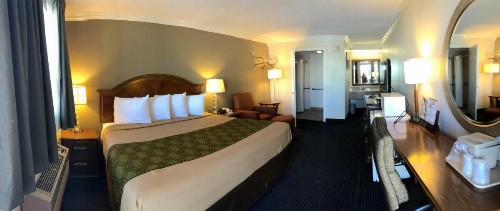 University Inn & Suites - image 24