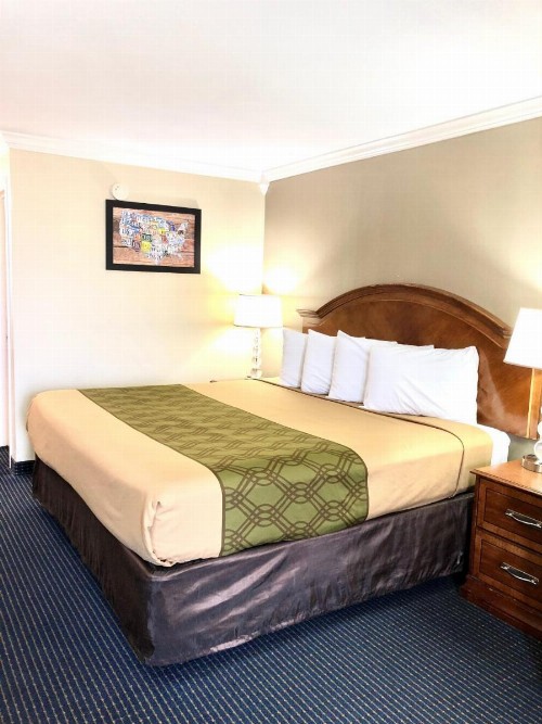 University Inn & Suites - image 27
