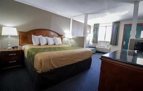 University Inn & Suites - image 3