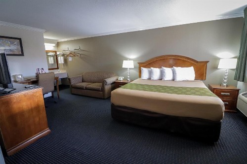 University Inn & Suites - image 4