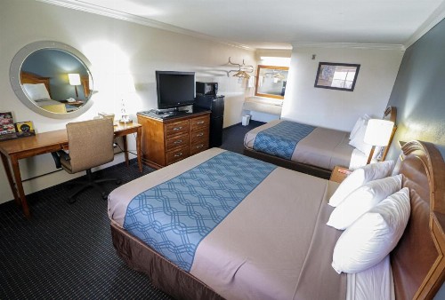 University Inn & Suites - image 5