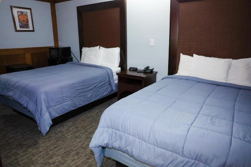 Rittiman Inn and Suites - image 2