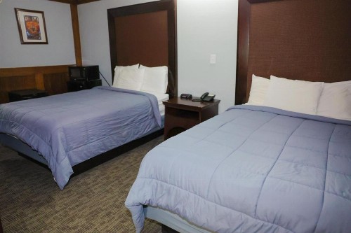 Rittiman Inn and Suites - image 4
