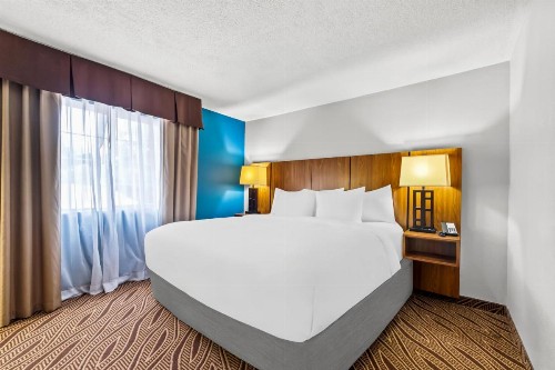 Holiday Inn Express Hotel & Suites San Antonio-Airport North an IHG Hotel - image 28