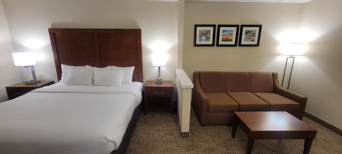 Comfort Inn & Suites San Antonio Airport - image 4