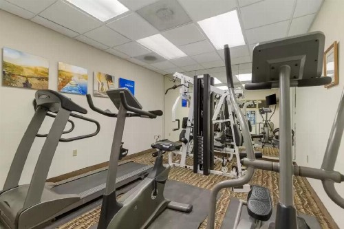 Comfort Inn & Suites San Antonio Airport - image 8