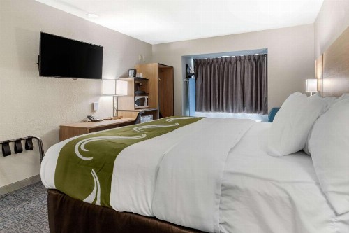Quality Inn Downtown - near Market Square - image 45
