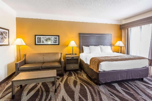Comfort Inn San Antonio - image 4