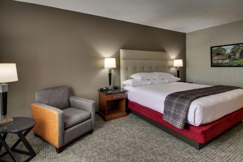 Drury Inn & Suites San Antonio Northwest Medical Center - image 28