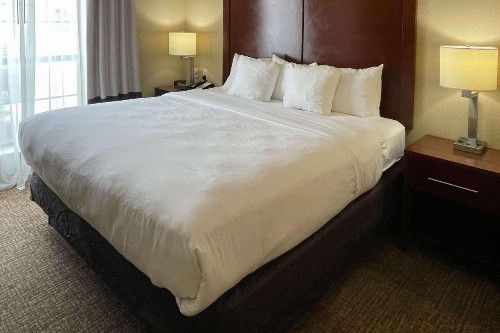 Comfort Suites Sea World/ Lackland - image 30