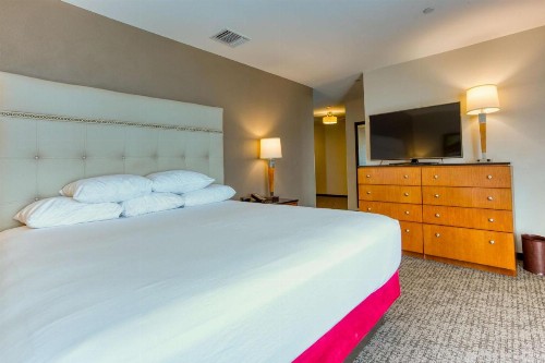 Drury Plaza Hotel San Antonio Riverwalk - image 12