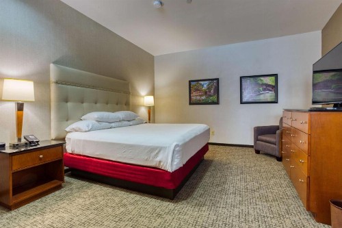 Drury Plaza Hotel San Antonio Riverwalk - image 41
