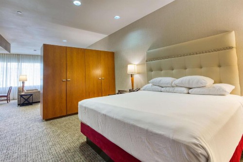 Drury Plaza Hotel San Antonio Riverwalk - image 42