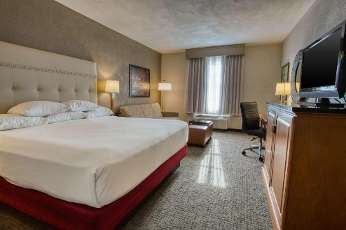 Drury Inn & Suites San Antonio Near La Cantera - image 15