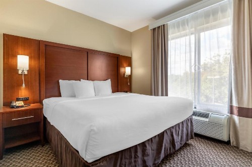 Comfort Suites Medical Center Near Six Flags - image 25