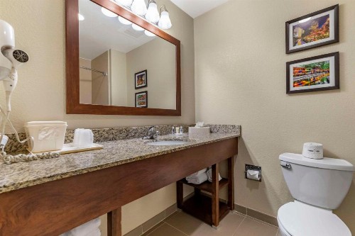 Comfort Suites Medical Center Near Six Flags - image 4