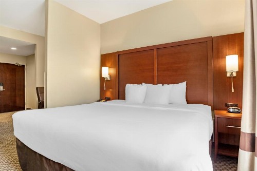 Comfort Suites Medical Center Near Six Flags - image 50