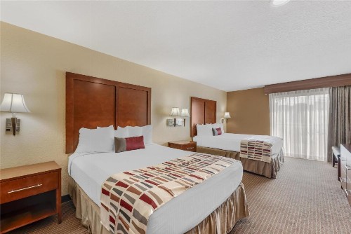 Best Western Alamo Suites Downtown - image 2
